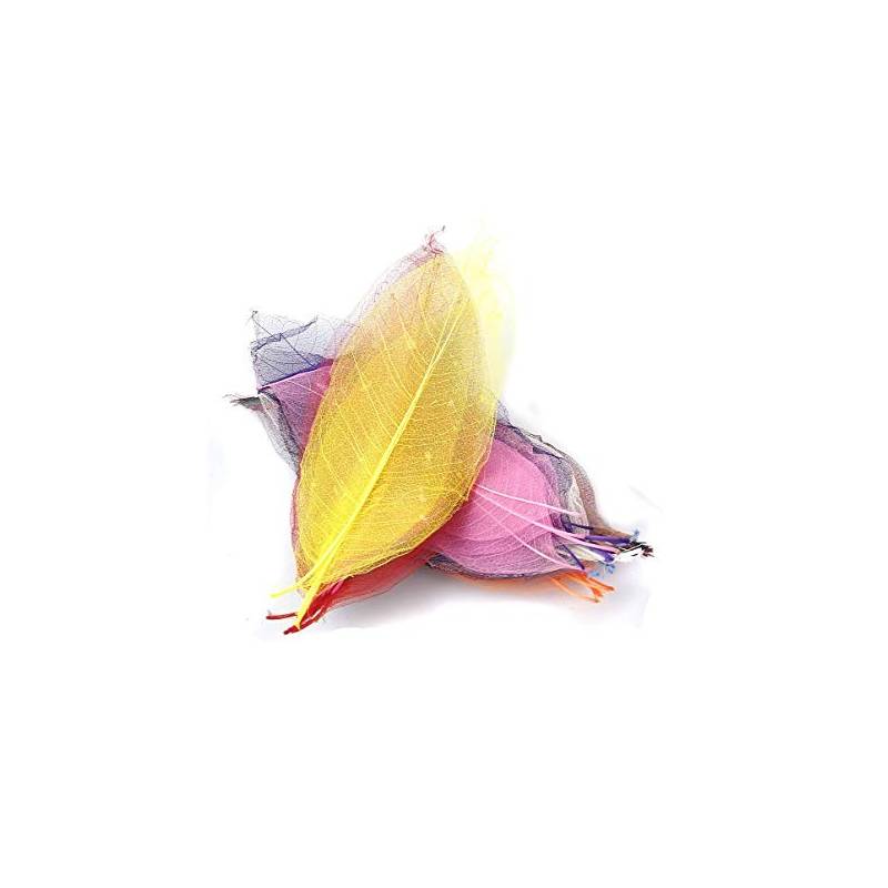 20 Hojas Secas de Magnolia de colores | Tienda de juguetes Veobio
